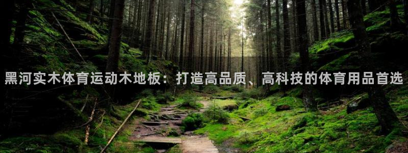 必一运动官网入口：黑河实木体育运动木地板：打造高品质、高科技的体育用品首选