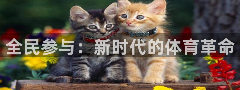 必一运动官网入口：全民参与：新时代的体育革命