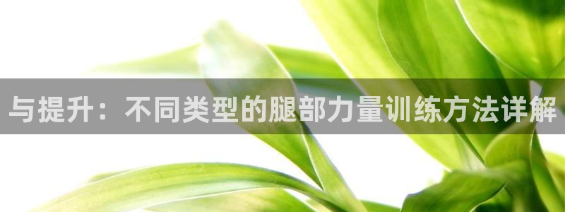 bsports官网 必一运动：与提升：不同类型的腿部力量训练方法详解