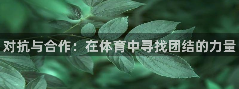必一运动app：对抗与合作：在体育中寻找团结的力量