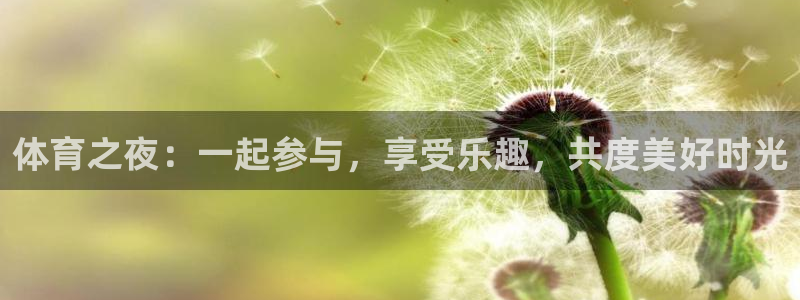 bsports官网 必一运动：体育之夜：一起参与，享受乐趣，共度美好时光
