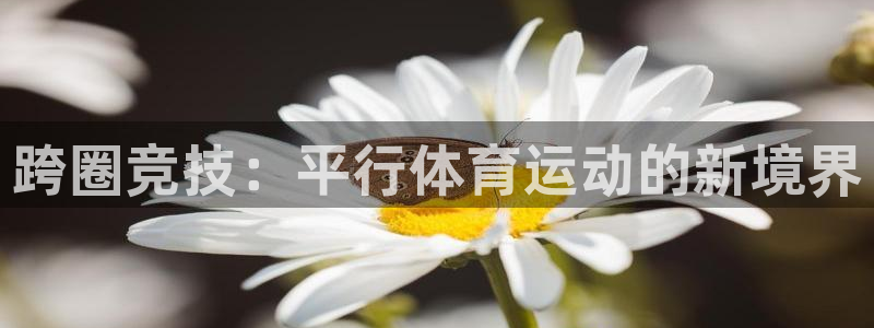 必一运动官网：跨圈竞技：平行体育运动的新境界