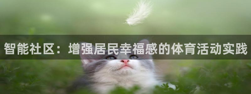 必一运动：智能社区：增强居民幸福感的体育活动实践