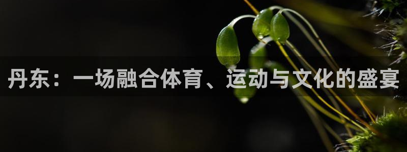 必一运动bsport体育：丹东：一场融合体育、运动与文化的盛宴