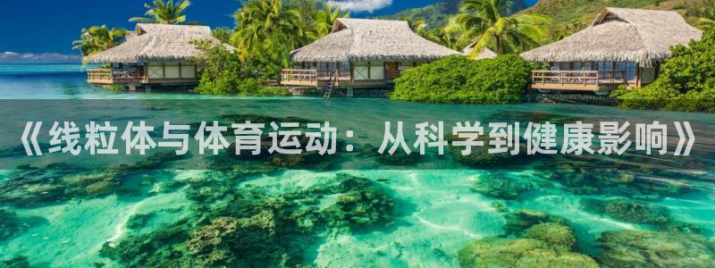 b体育必一运动官网：《线粒体与体育运动：从科学到健康影响》