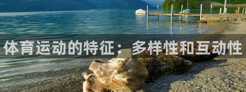 必一运动app：体育运动的特征：多样性和互动性