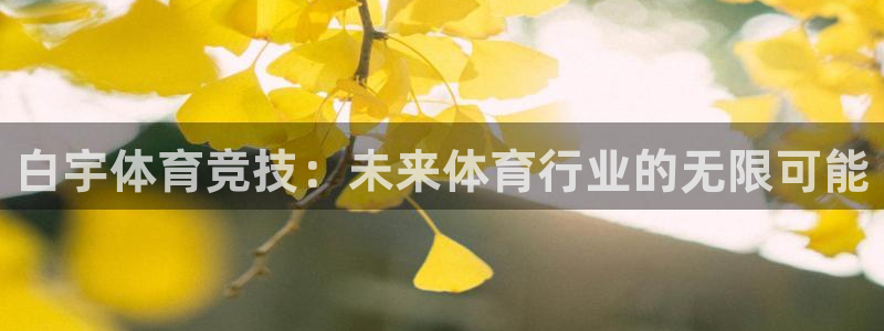 必一运动官网入口：白宇体育竞技：未来体育行业的无限可能