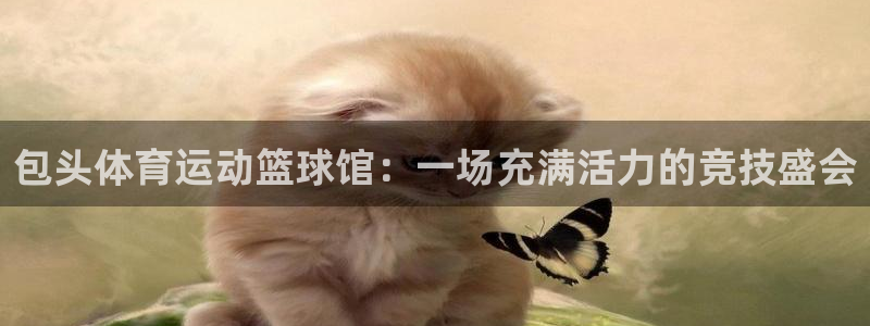 必一运动app：包头体育运动篮球馆：一场充满活力的竞技盛会