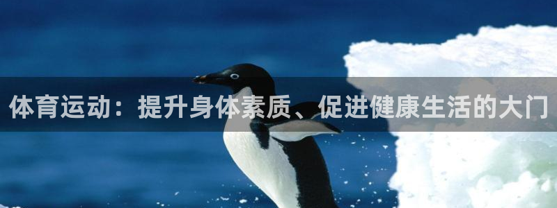 b体育必一运动官网：体育运动：提升身体素质、促进健康生活的大门