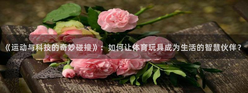 必一运动bsport体育：《运动与科技的奇妙碰撞》：如何让体育玩具成为生活的智慧伙伴？